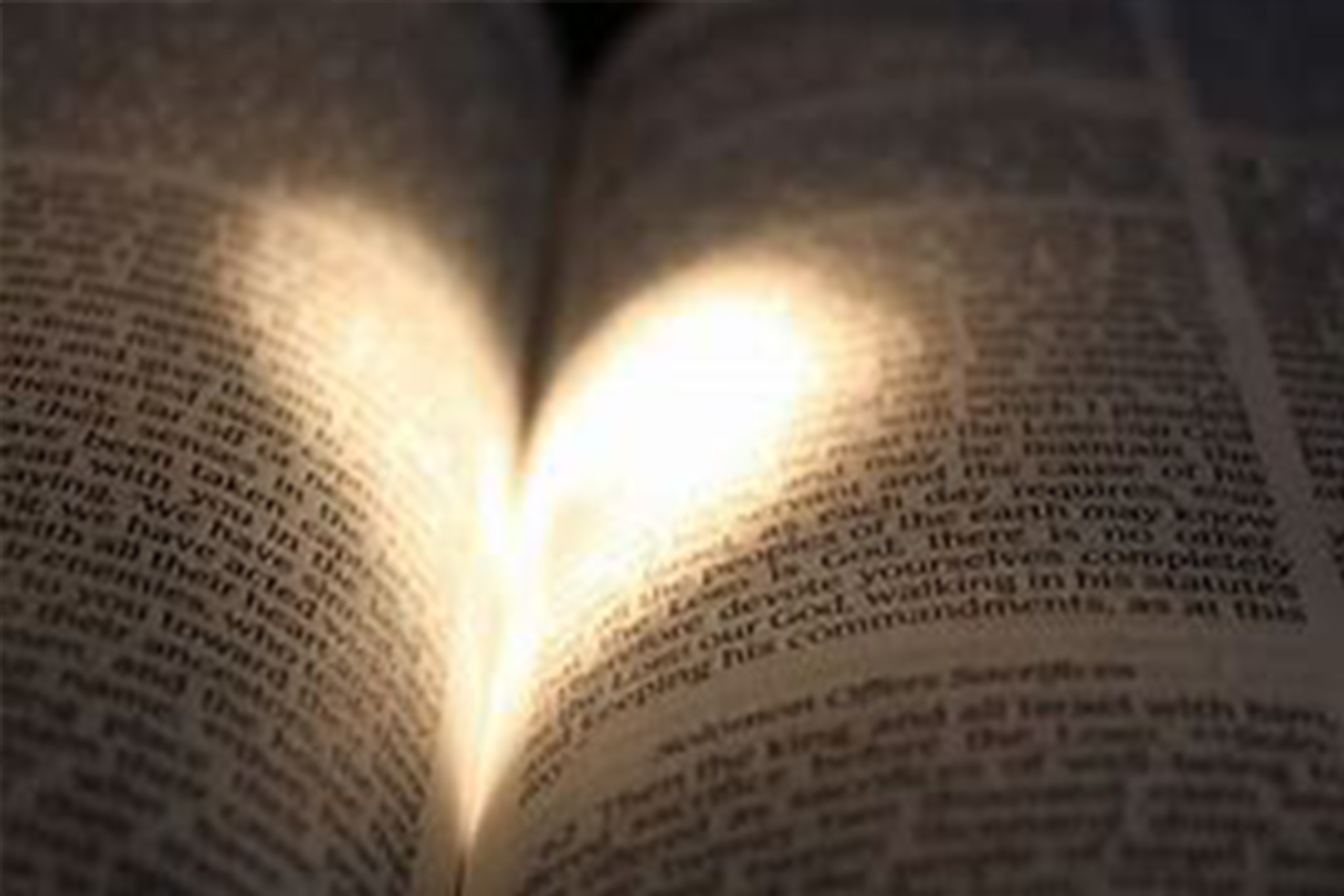 A close-up of an open book with highlighted text illuminated by soft light, symbolizing knowledge and reflection.